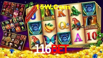 Sistemas de Segurança 116bet