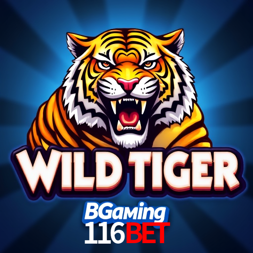 Apostas Esportivas na 116bet: Um Guia Completo
