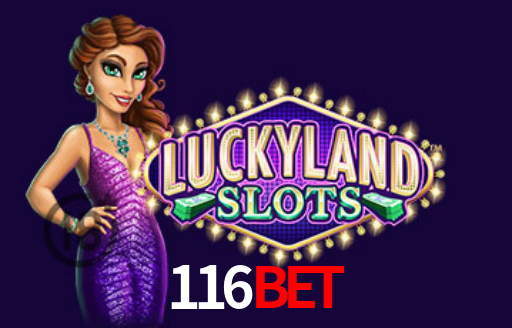 Interface Premium 116bet