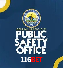 Integração de APIs 116bet